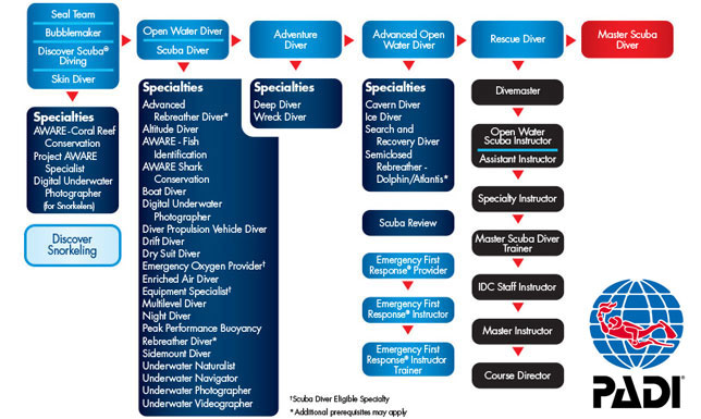 A flow chart of PADI Scuba Dive Courses and the specialties available