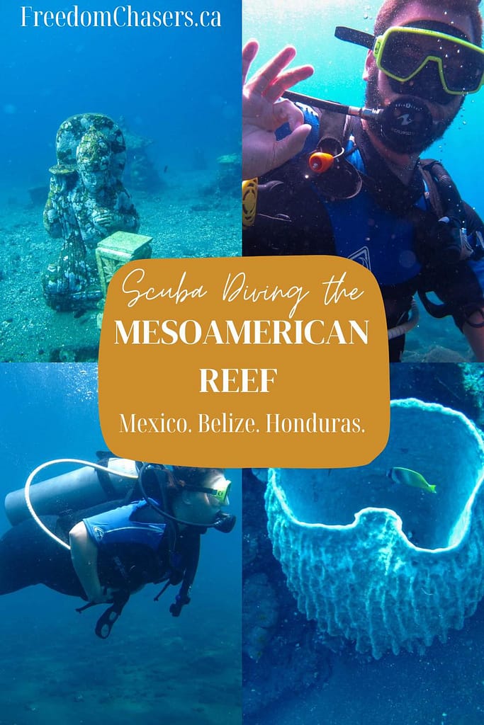 scuba diving the mesoamerican reef