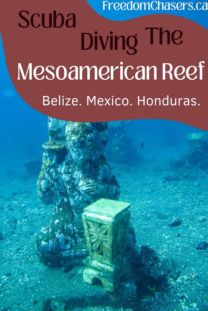 scuba diving the mesoamerican reef