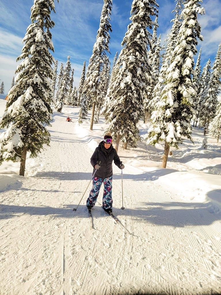 There are so many great BC Mountains to visit from Grouse Mountain to Whistler to Big White.