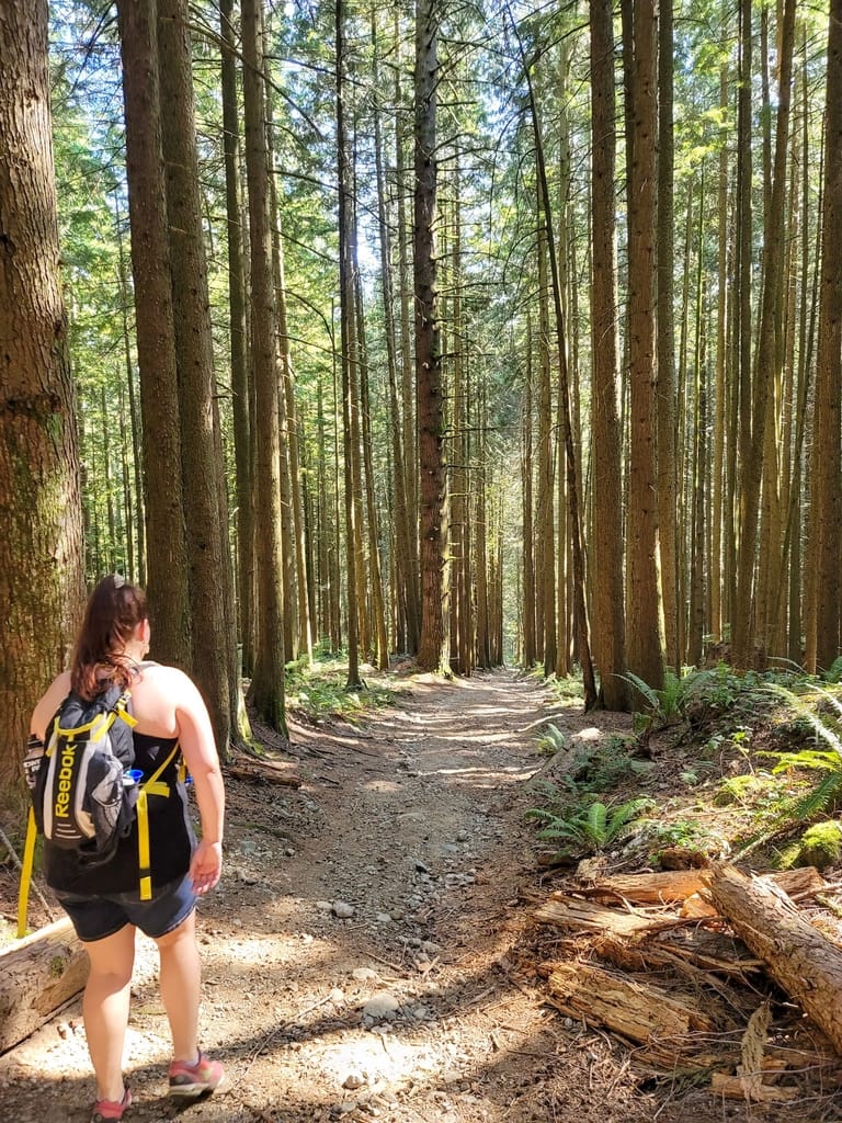 Grouse mountain forest hike in Vancouver